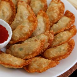 Fried Tofu Dumplings - Recipe photo by snwan