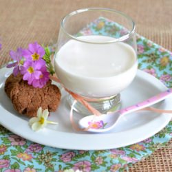 Almond Milk - Recipe photo by Naturelita