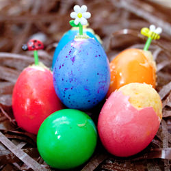 Cupcake in Egg Shell - Recipe photo by CelestialDelish