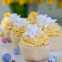 Lemon Daffodil Cupcakes - Recipe photo by sweetrevelations