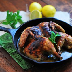 Spatchcocked Chicken with Mint - Recipe photo by FamilySpice