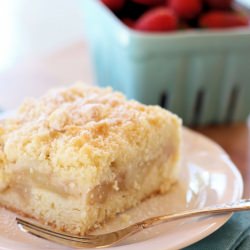 Apple Crumble Slice - Recipe photo by a spoonful of sugar