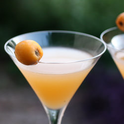 Loquacious Cocktail - Recipe photo by lisal