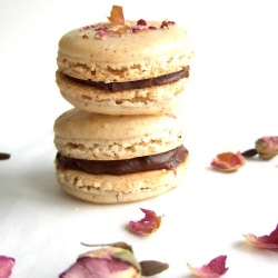 Rose macarons - Recipe photo by Ausra