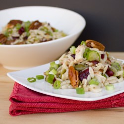 Chicken, Cranberry and Orzo Salad - Recipe photo by theblackpeppercorn