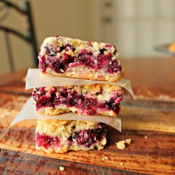 Blueberry Crumb Bars - Recipe photo by certifiedpastryaficionado
