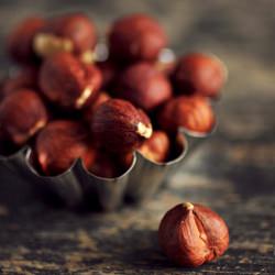 Raw Hazelnut Milk - Recipe photo by sweetfreedom