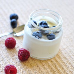Homemade Yogurt - Recipe photo by blackdogfoodblog