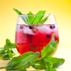 How to Make Kombucha - Recipe photo by PicklesNHoney