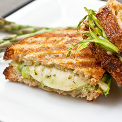 Jarlsberg Grilled Cheese - Recipe photo by PaniniKathy