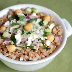 Mediterranean Farro Bowl - Recipe photo by Circle B Kitchen