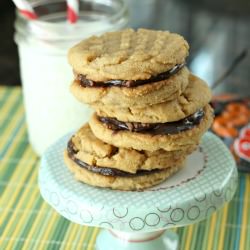 Chocolate Pb Cookies - Recipe photo by snappygourmet