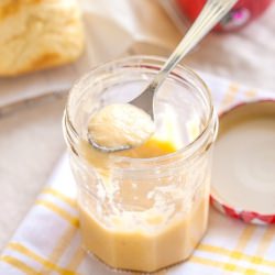 Apple Curd - Recipe photo by delicieux