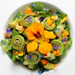 Fiddlehead & Flower Salad - Recipe photo by Taste With The Eyes