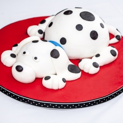 Dalmatian Cake - Recipe photo by flourarrangements