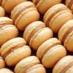 PH Macarons - Recipe photo by thingsforboys