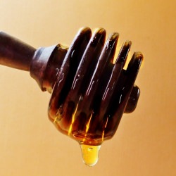 15 Ways to Use Honey - Recipe photo by Sudden Lunch