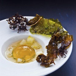 Mussels - Recipe photo by RecipeTaster