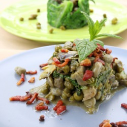 Vignarola Roman - Recipe photo by solema