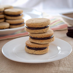Chocolate Pecan Butter Cookies - Recipe photo by EvilShenanigans