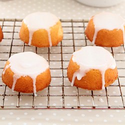 Mini lemon cakes - Recipe photo by openbook