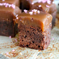 Double Chocolate Salt Brownie - Recipe photo by Warm Snug Fat