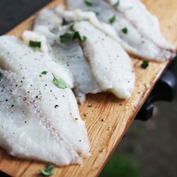Cedar Plank Smoked Tilapia - Recipe photo by davidtornado