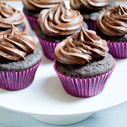 Chocolate Chocolate Chip Cupcakes - Recipe photo by ryanbakes