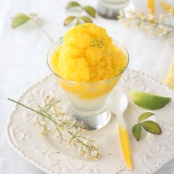 M^2 Granita - Recipe photo by Dishesfrommykitchen