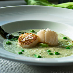 scallops w/ gazpacho - Recipe photo by culinary pixel