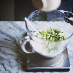 Scallion Pancakes - Recipe photo by The Sophisticated Gourmet