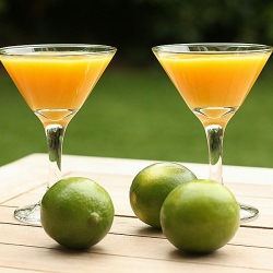 Mango Marti - Recipe photo by dawnkl