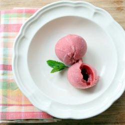 Rhubarb Sorbet Recipe - Recipe photo by GardenTherapy