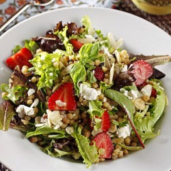 Strawberry recipes - Recipe photo by newfinmysoup