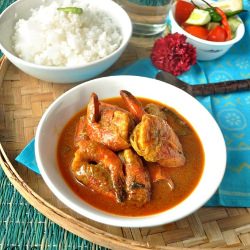 Prawn in spicy coconut milk gravy - Recipe photo by sayantani