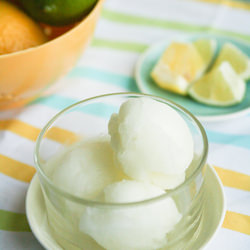 Lemon Lime Soda Sorbet - Recipe photo by thelittlekitchen
