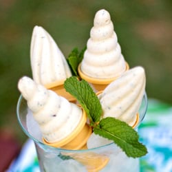 Mint-Choco-Vanilla-Bean Yogurt - Recipe photo by Sugarmagphoto