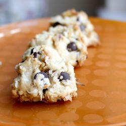 Walnut, Coconut, Chocolate Cookies - Recipe photo by peteandbuzz