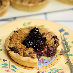 Blueberry Brie Tartlettes - Recipe photo by creativeculinary