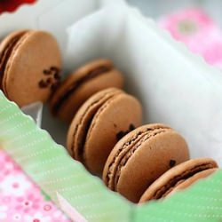 Chocolate Coffee Macarons - Recipe photo by josim
