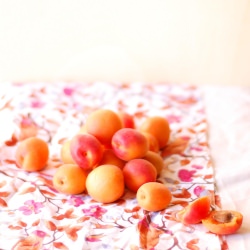 Apricot Juice - Recipe photo by UnaZebrApois