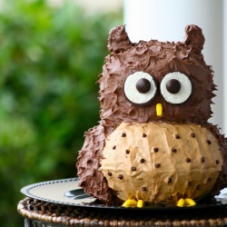 DIY Owl Cake - Recipe photo by relativetaste