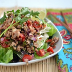 Larb Gai - Recipe photo by The Foodie Couple