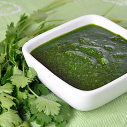 Rick Bayless' Mexican Chimichurri - Recipe photo by bellyfull