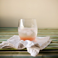 Shrub - Recipe photo by aStackofDishes
