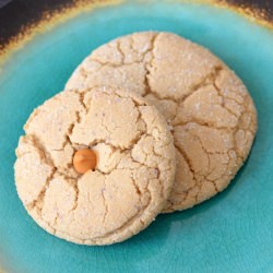 Sugar Cookie Recipe - Recipe photo by AknieGirl