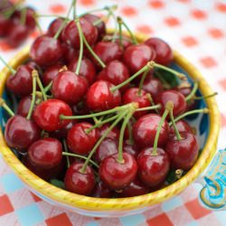 Fresh Picked Cherries - Recipe photo by latavolamarche