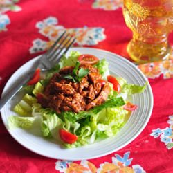 chicken cherry mole - Recipe photo by katiemaryjones