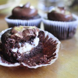 Chocolate Cupcakes with Vanilla - Recipe photo by sensualappeal
