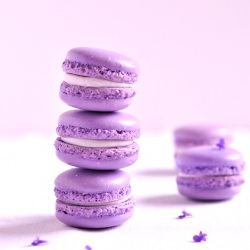 Lavender macarons - Recipe photo by argone